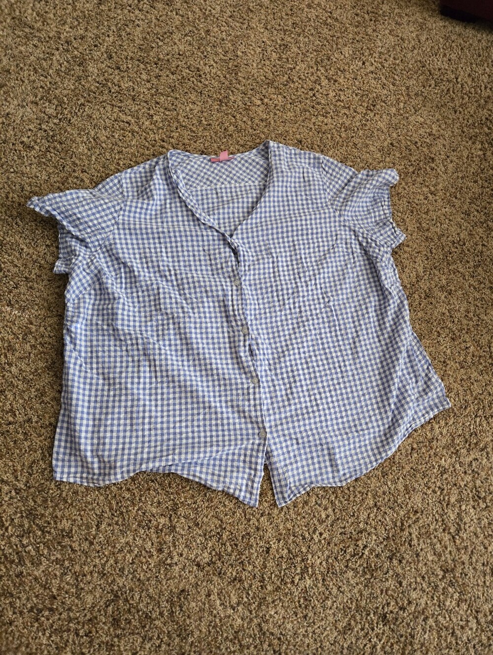 Woman Within Blue Gingham Blouse
